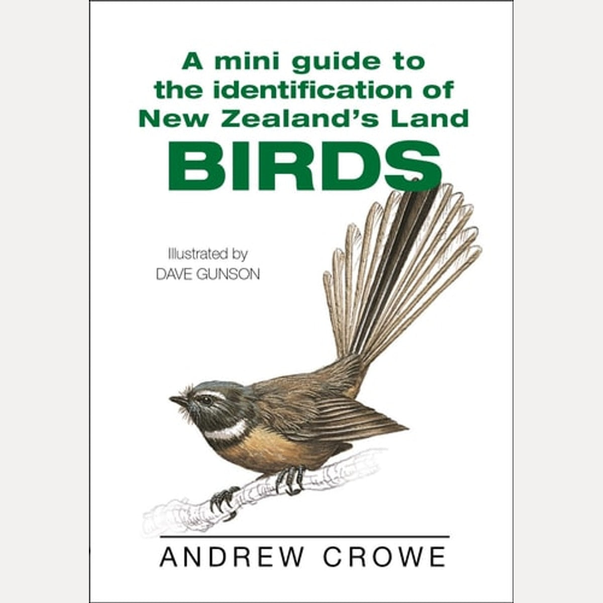 A Mini Guide to the Identification of New Zealand's Land Birds