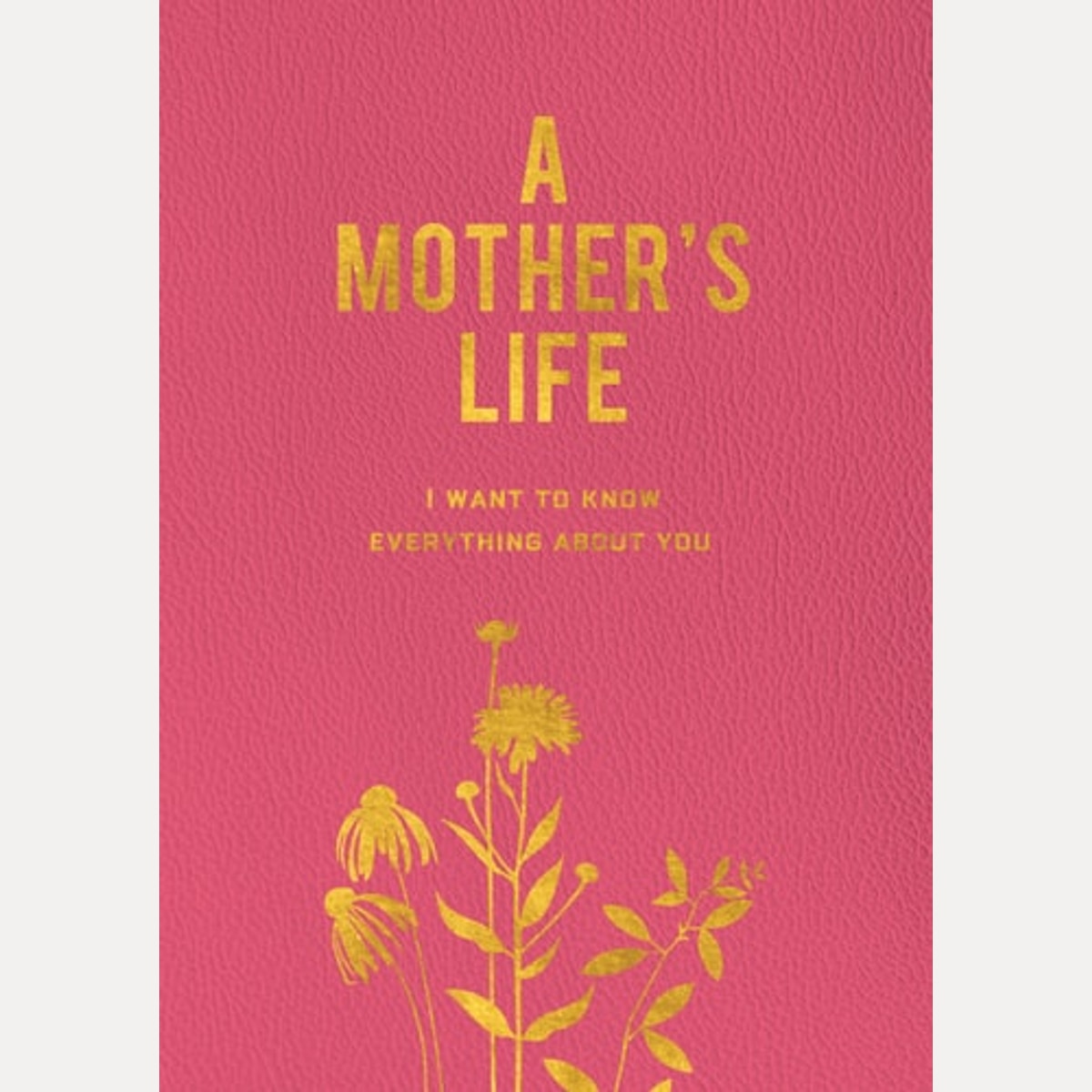 A Mother's Life I Want to Know Everything about You by Editors of Chartwell Books