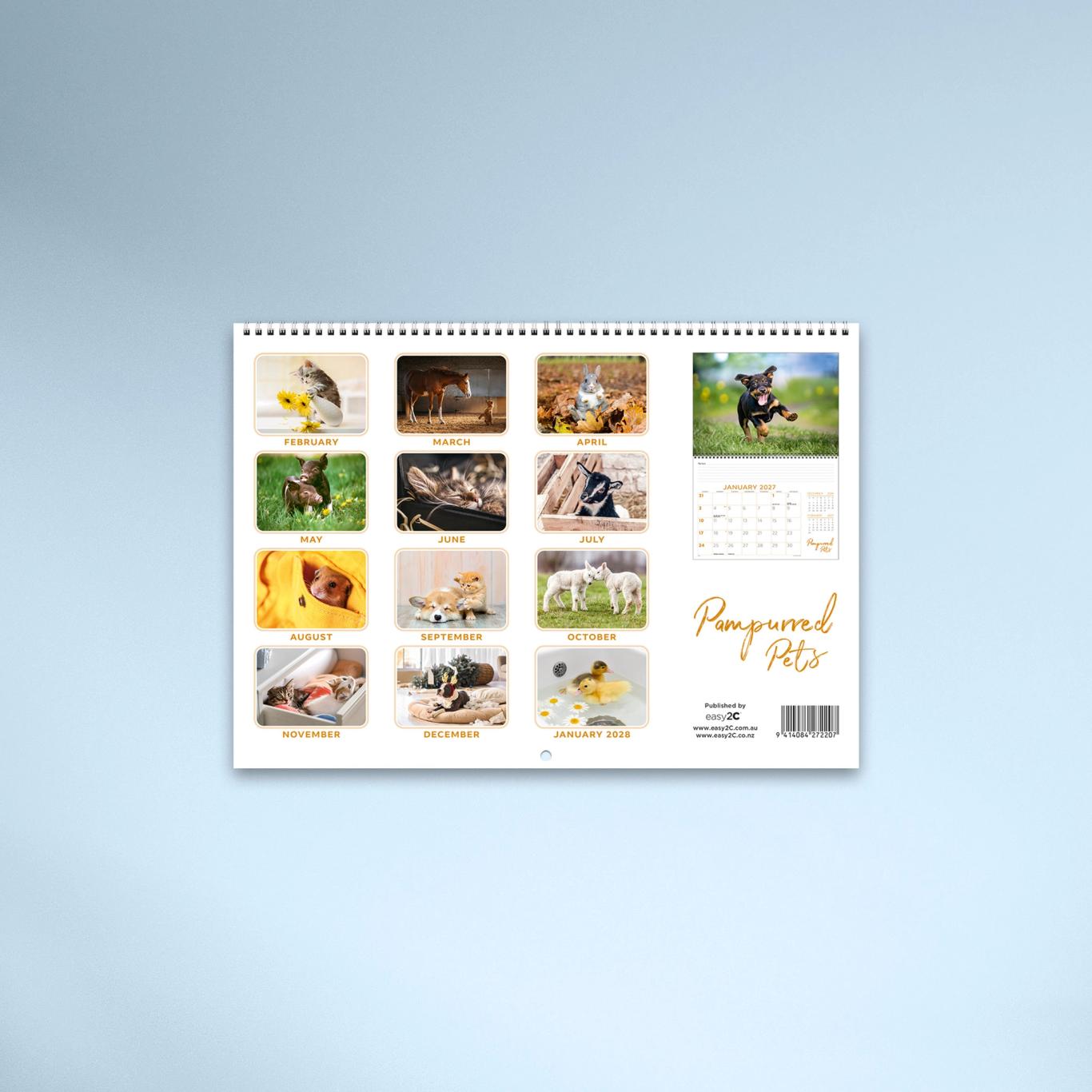 Pampurred Pets Booklet