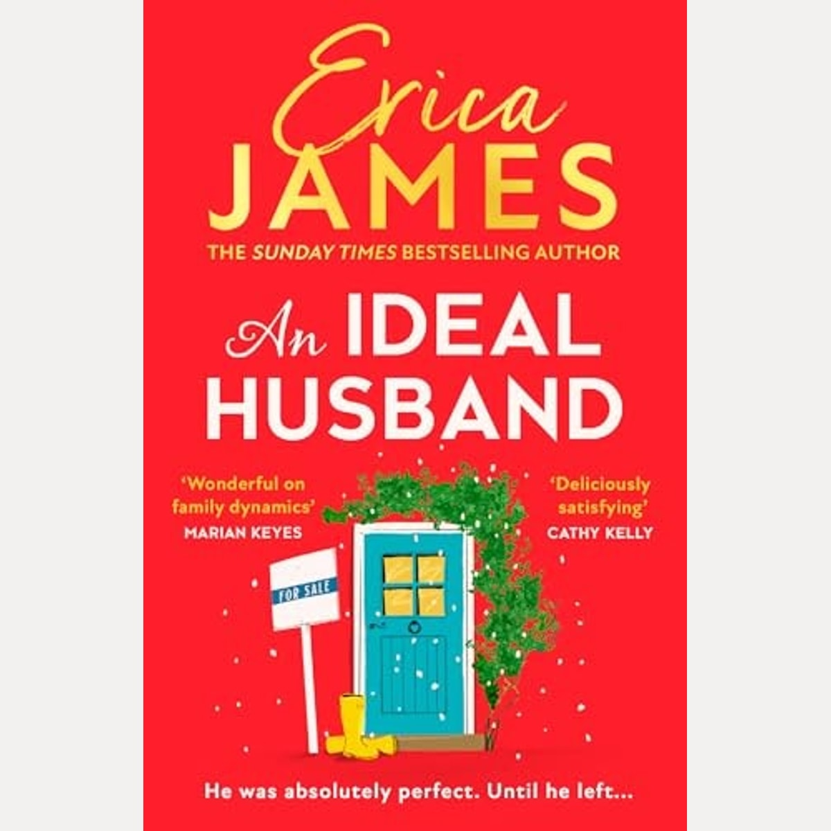 An Ideal Husband, Erica James