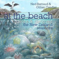 At the Beach Explore & Discover the New Zealand Seashore