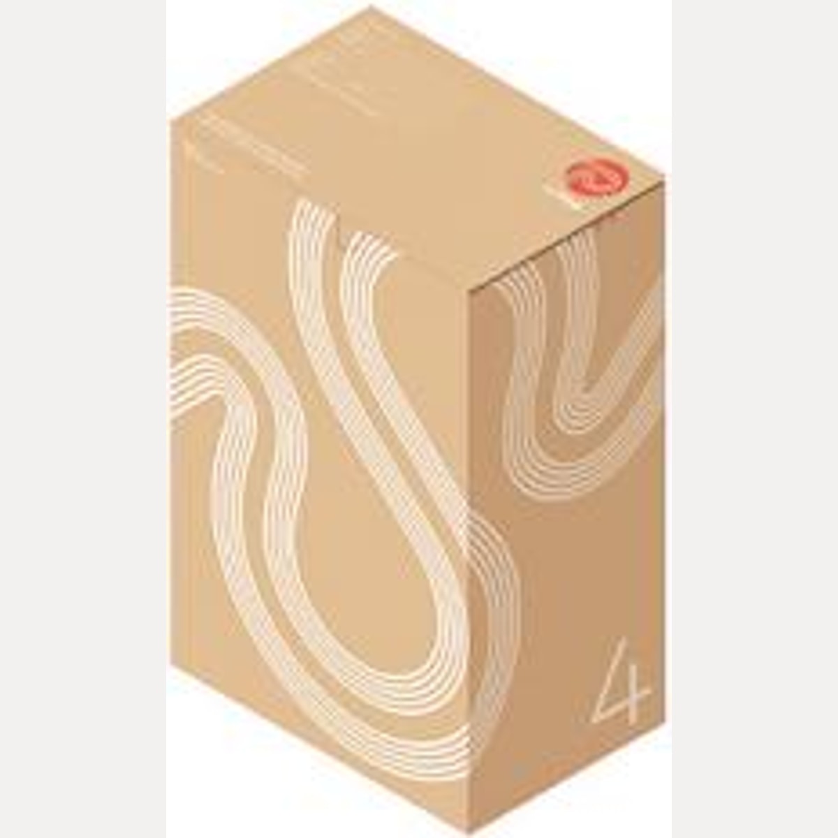 BOX SIZE 4 318X216X507MM BOX4