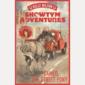 Cameo, the Street Pony by Kelly Wilson