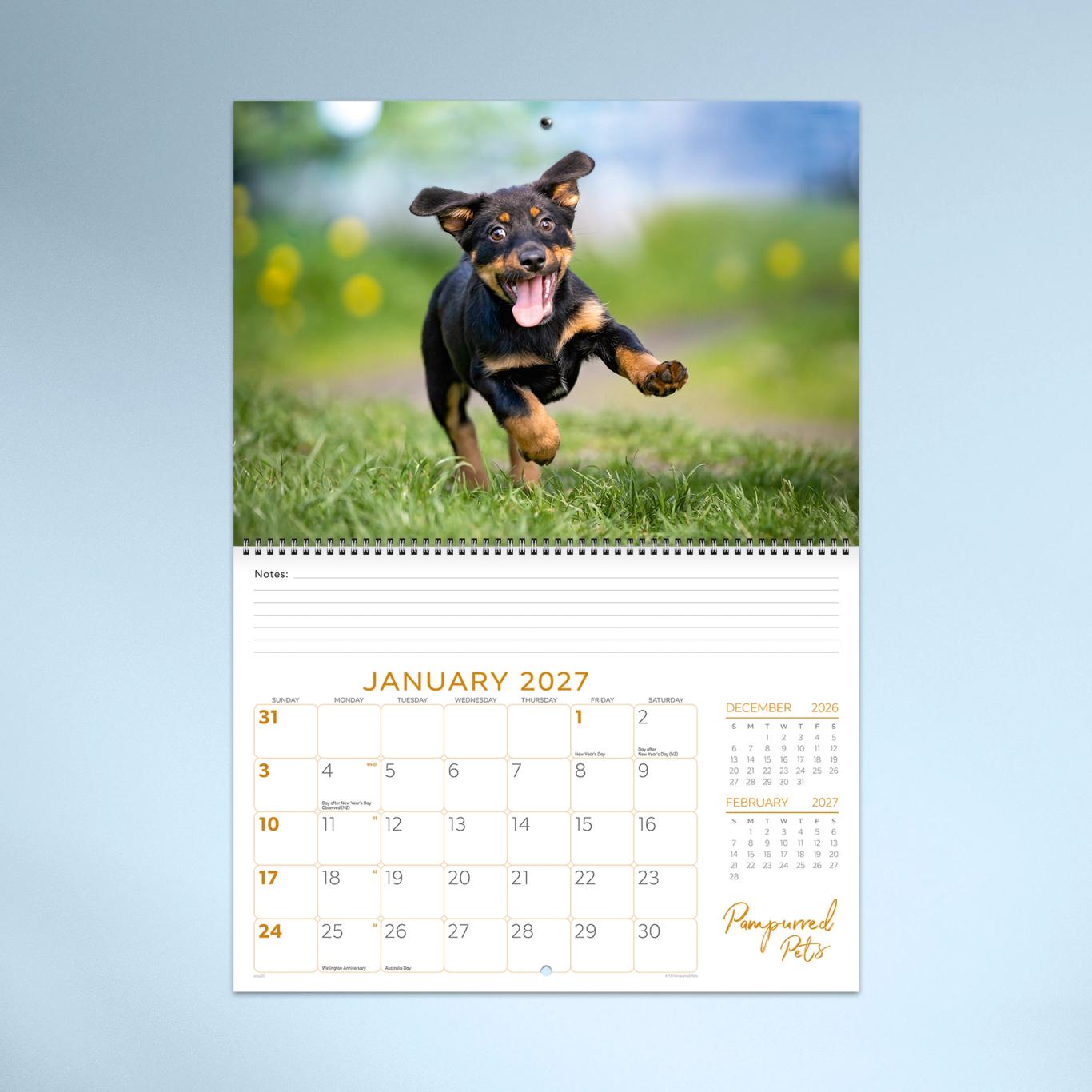 Pampurred Pets Booklet