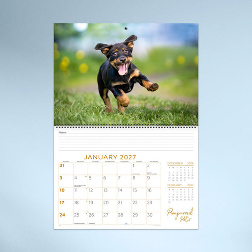 Pampurred Pets Booklet