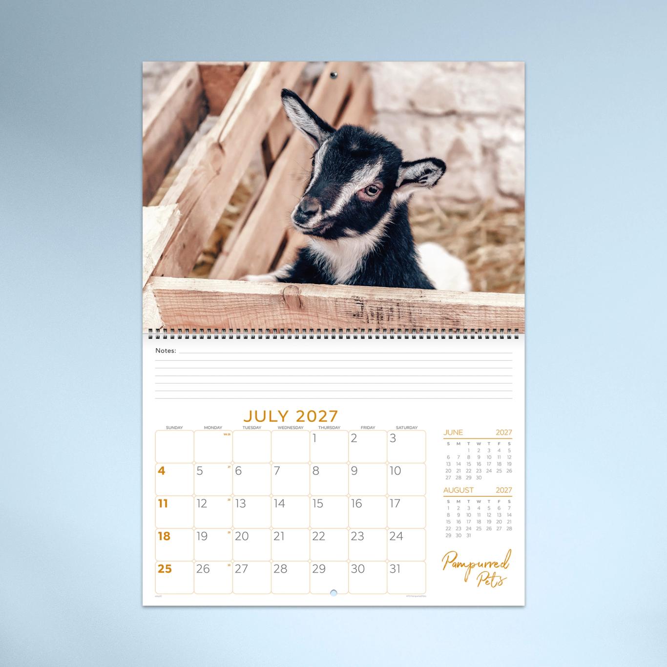 Pampurred Pets Booklet