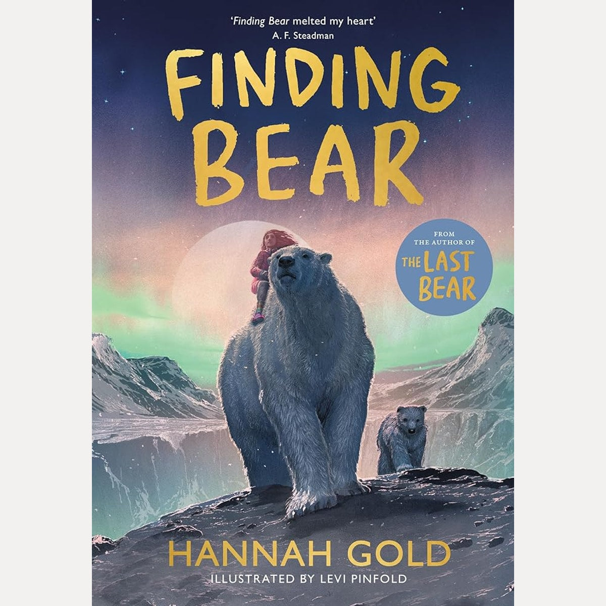 Finding Bear cover image