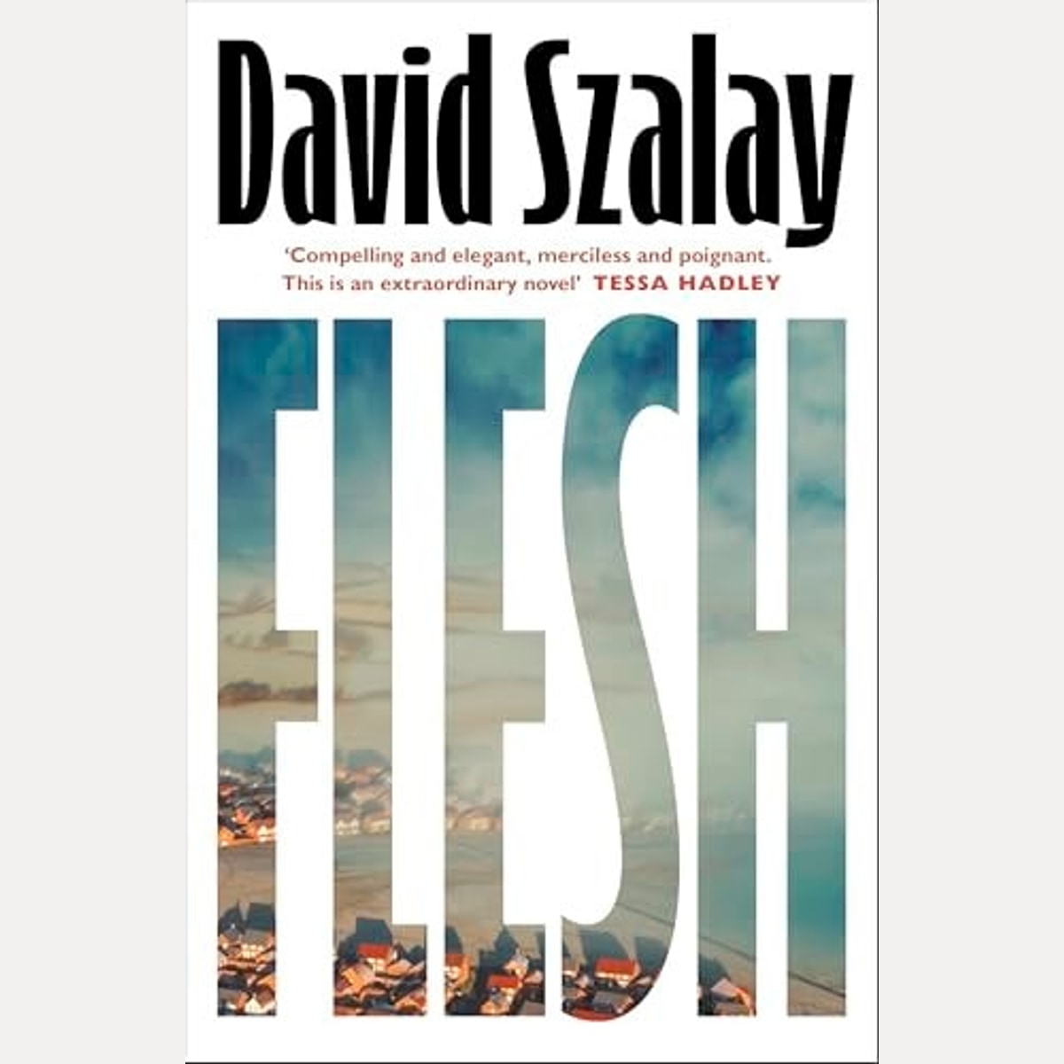 Flesh, David Szalay