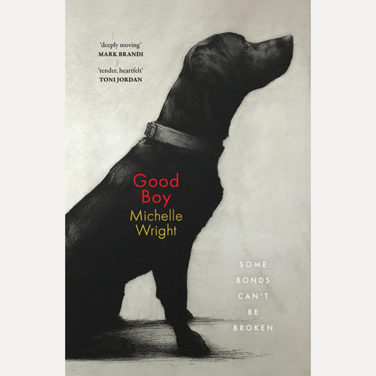 Good Boy by Michelle Wright: A Moving Tale of Redemption