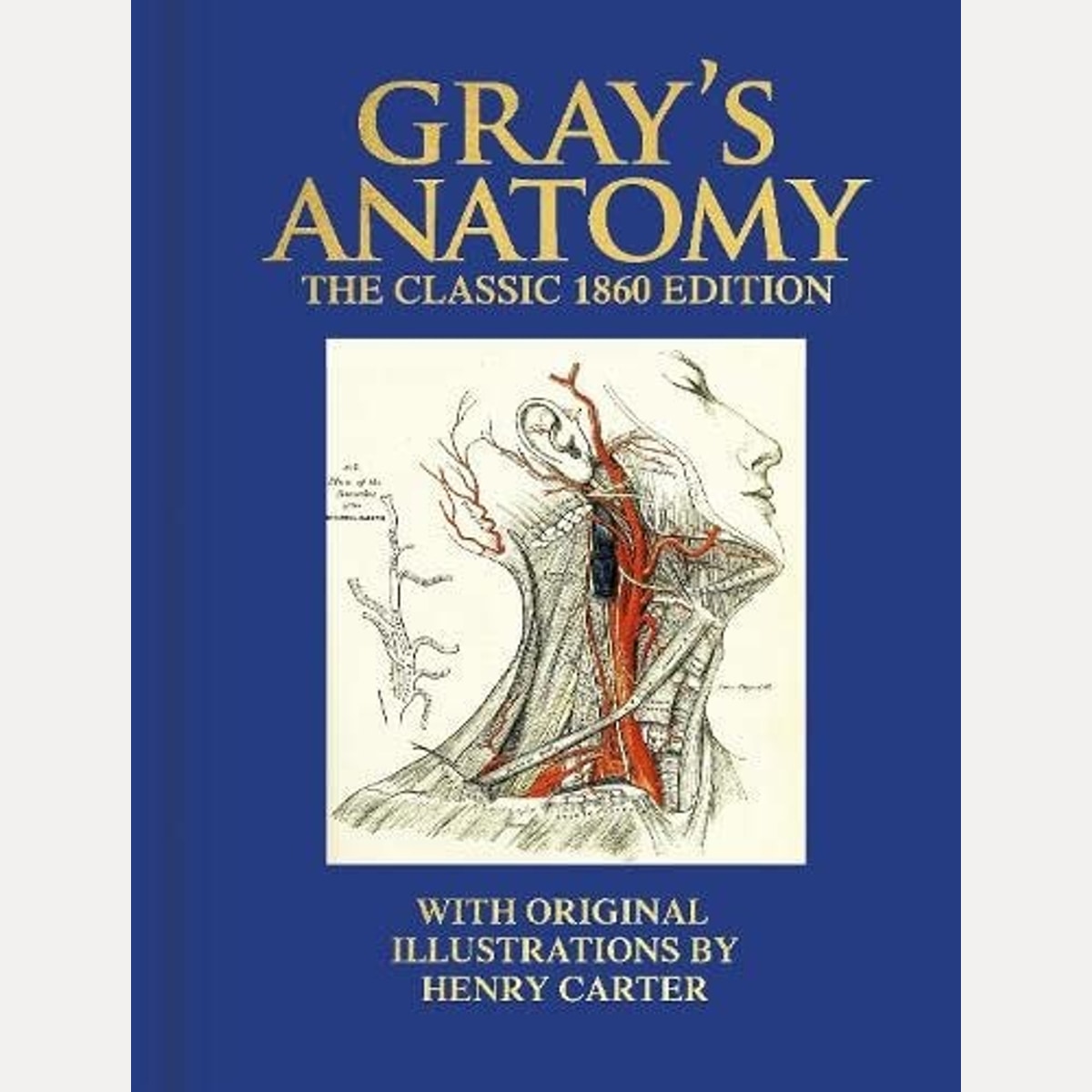 Grays Anatomy, Henry Gray