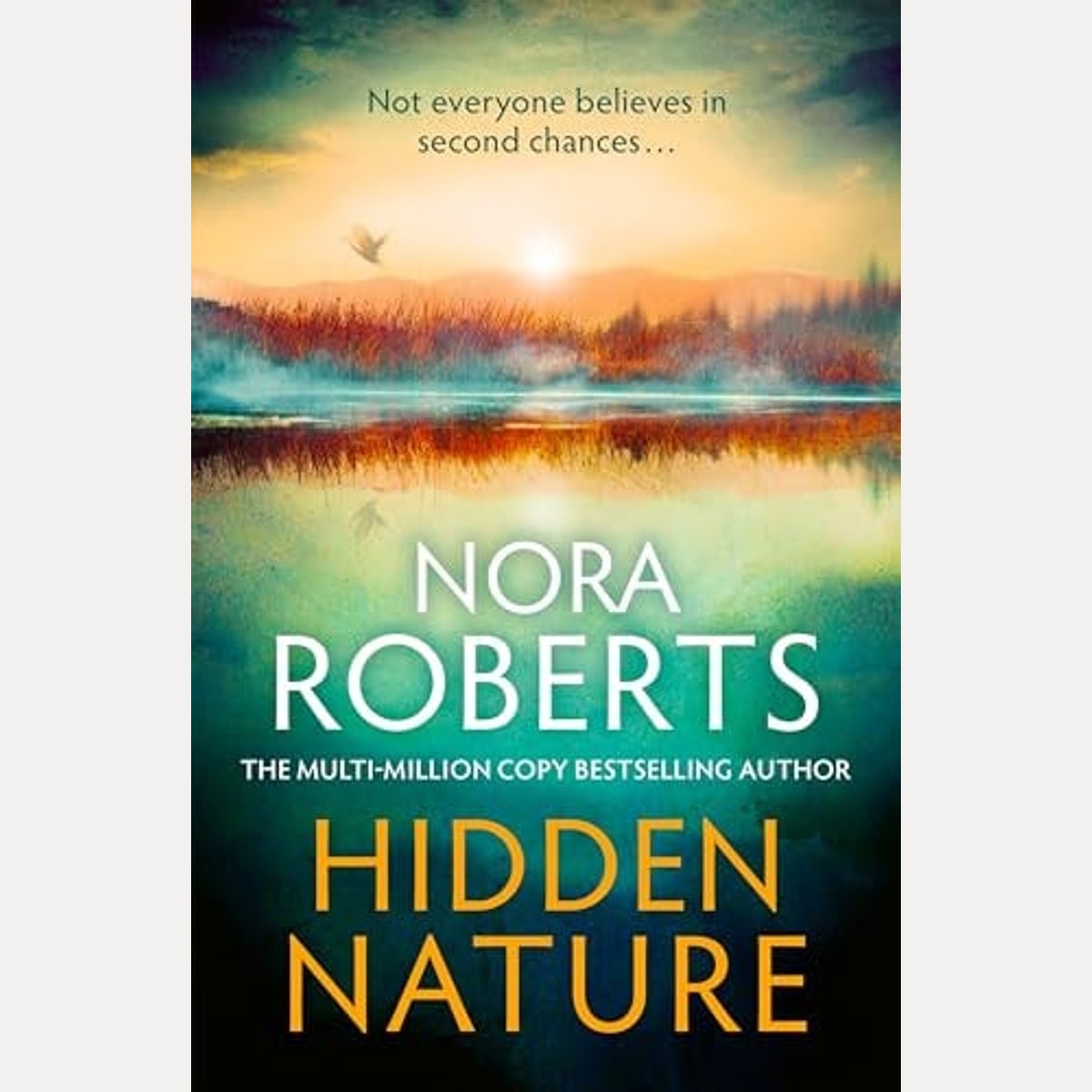 Hidden Nature