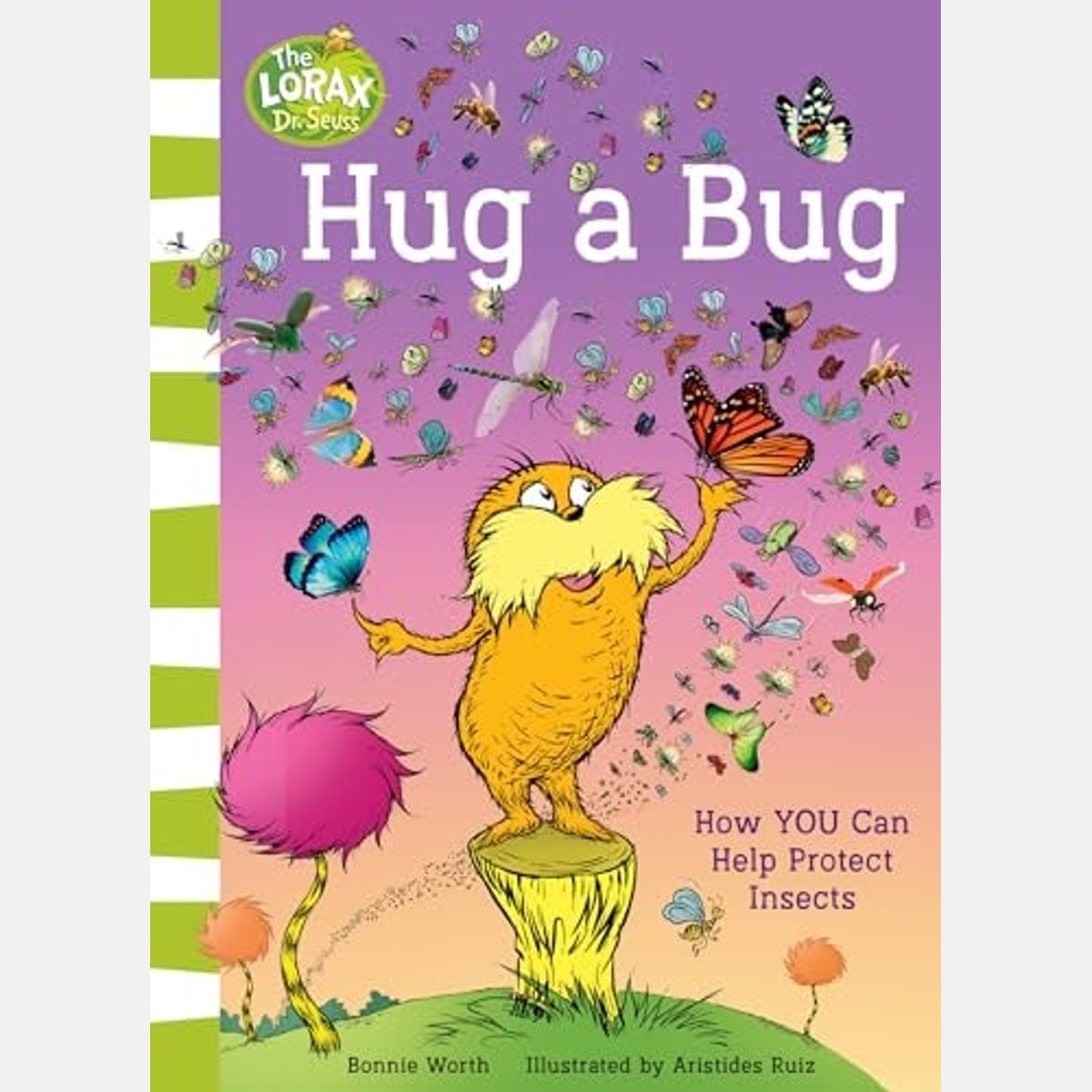 Hug a Bug How YOU Can Help Protect Insects