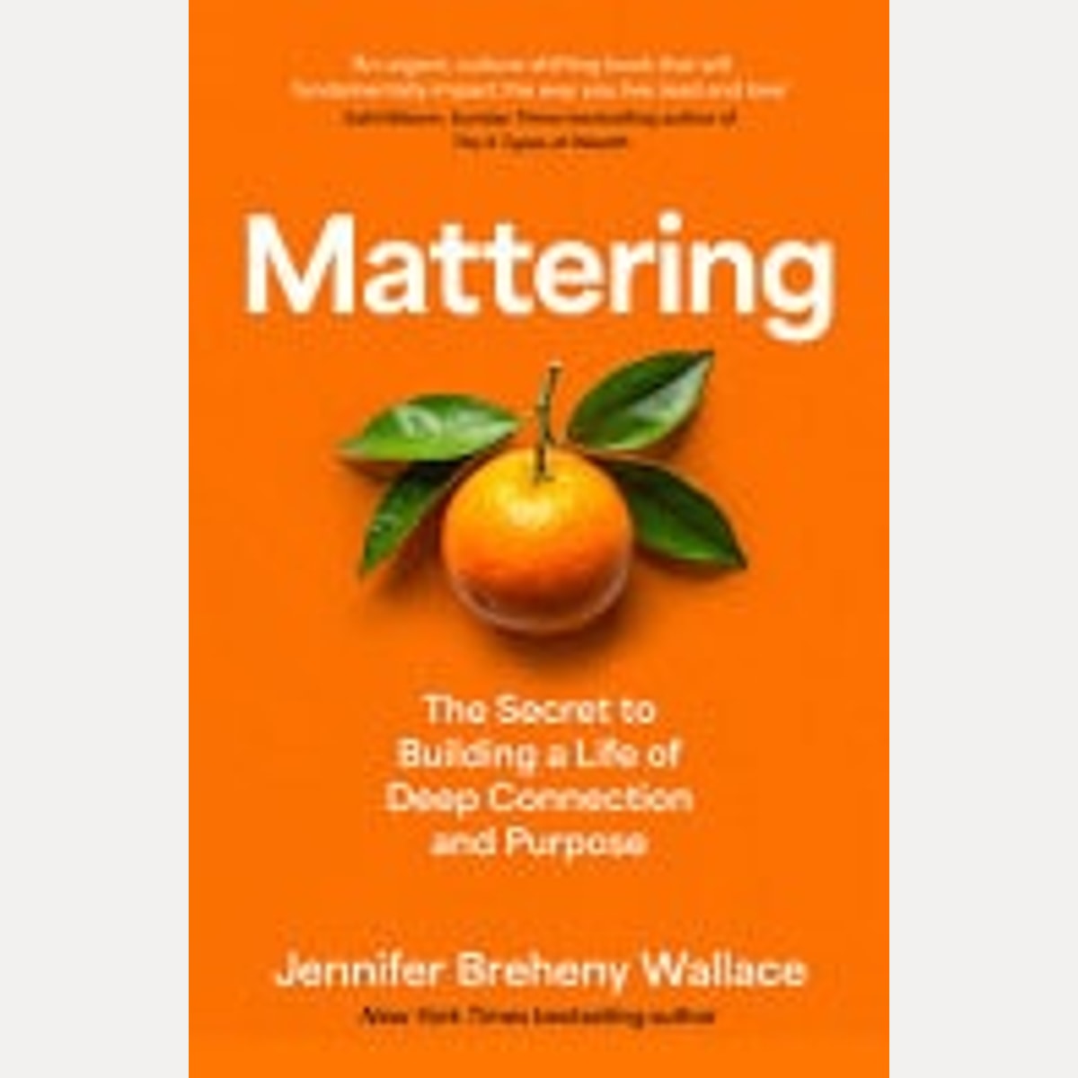 Mattering The Secret to Building a Life of Deep Connection and Purpose