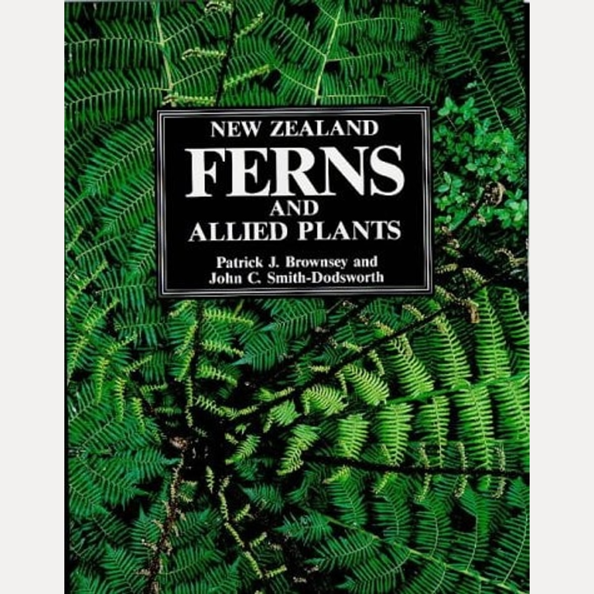 New Zealand ferns and allied plants, P. J Brownsey