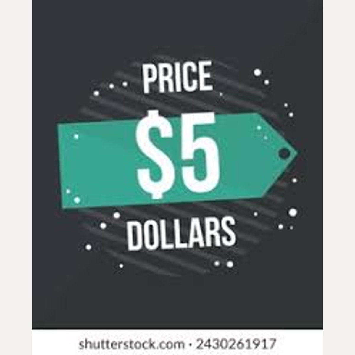 Shop Kaiapoi - $5 Book