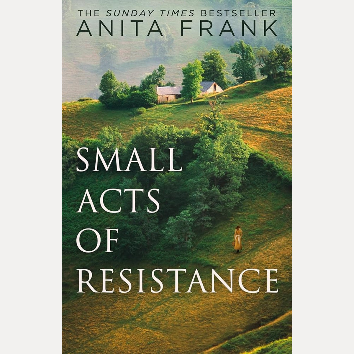 Small Acts of Resistance: The brand-new emotional and captivating First World War historical fiction novel by the Sunday Times bestselling author, perfect for fans of Sebastian Faulks in 2026! cover image