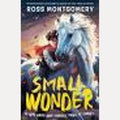Small Wonder by Ross Montgomery (Fiction writer)