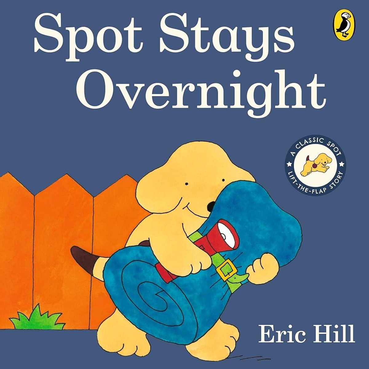 Spot Stays Overnight cover image