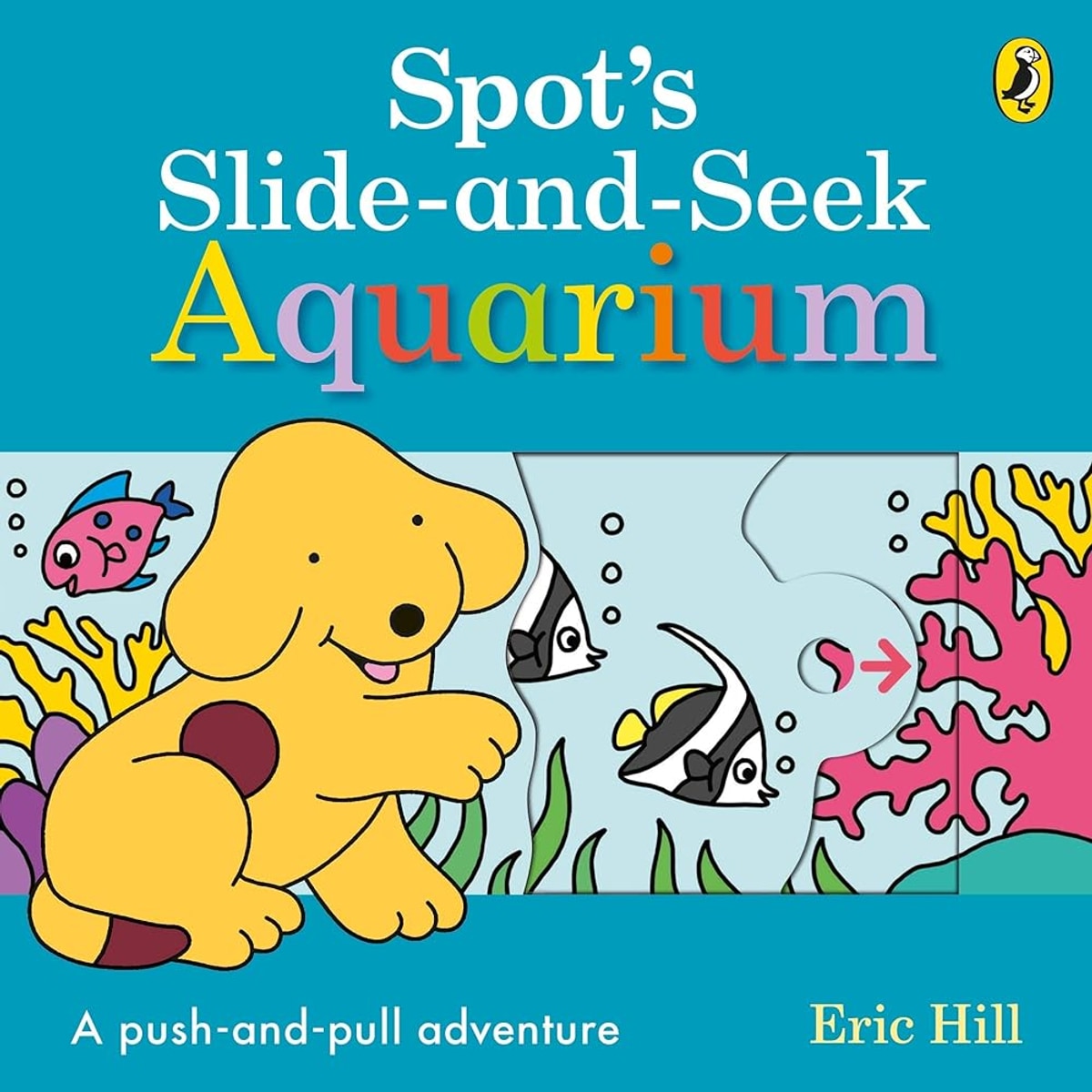 Spots Slide & Seek Aquarium cover image