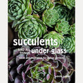 Succulents and All things Under Glass Ideas and inspiration for indoor gardens