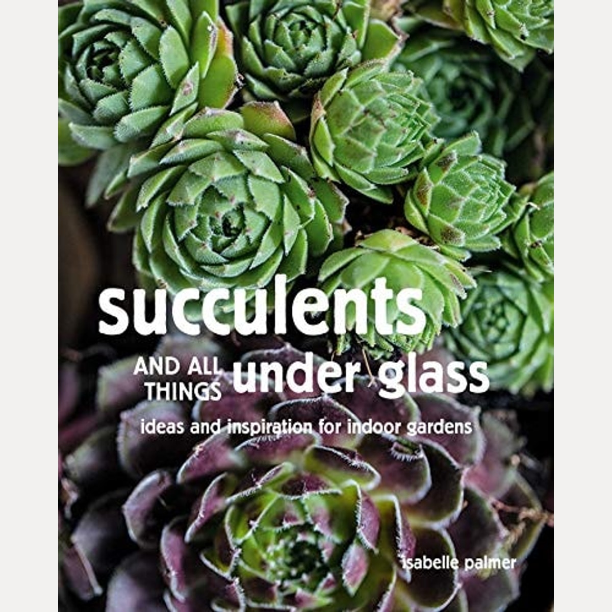 Succulents and All things Under Glass Ideas and inspiration for indoor gardens