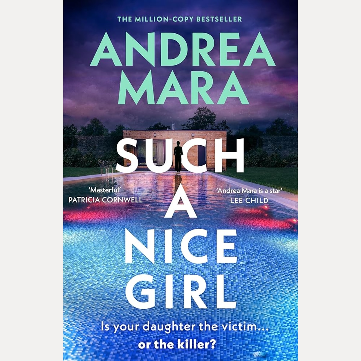 Such a Nice Girl: the unputdownable new psychological thriller from the million-copy bestselling author of All Her Fault, now a hit TV series starring Sarah Snook cover image