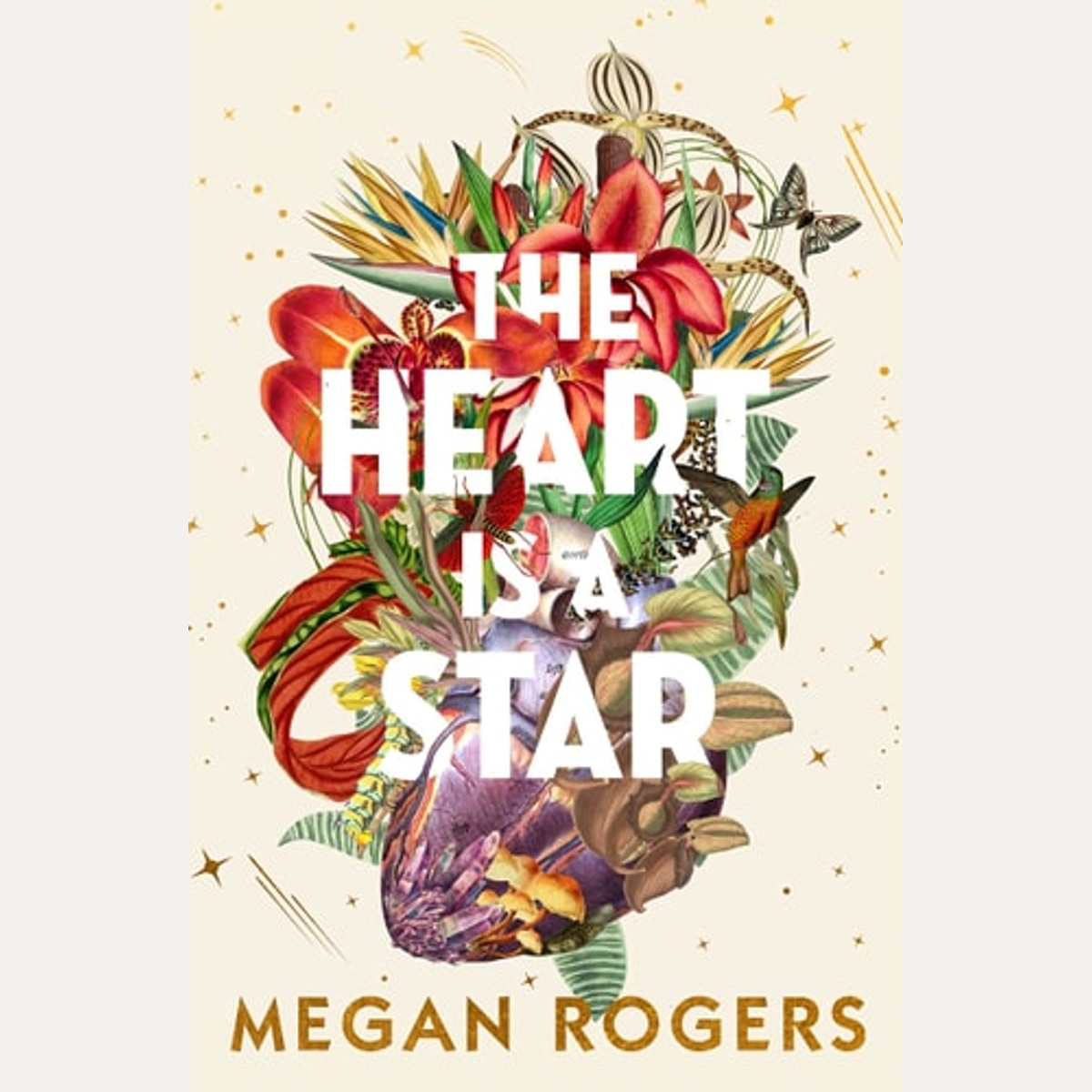 The Heart Is a Star The Beautiful and Heartbreaking Bestselling Debut Novel about Family and Identity for Readers of Holly Ringland, Bonnie Garmus and Ann Napolitano