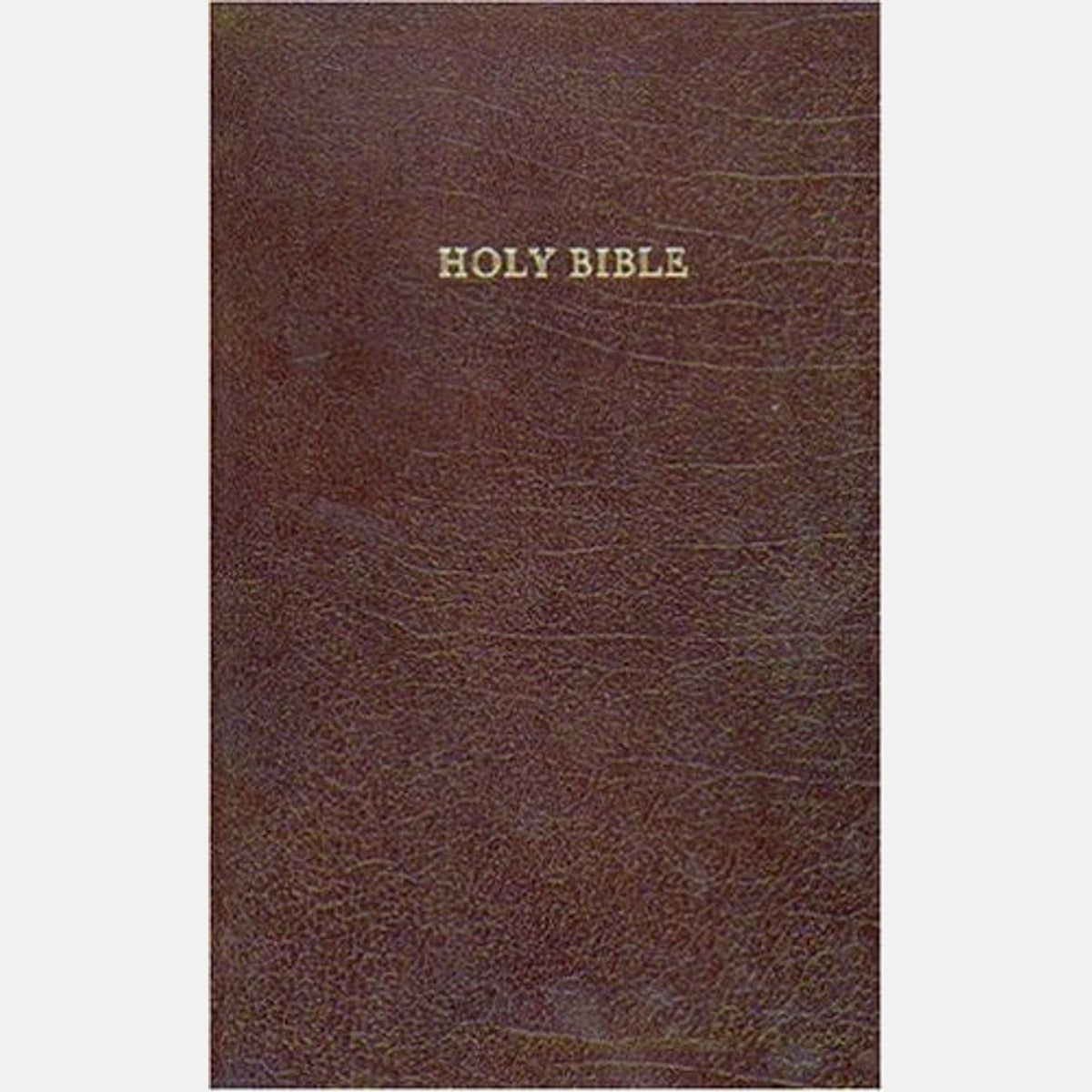 The Holy Bible Containing the Old and New Testaments : Translated Out of the Original Tongues, and with the Former Translations Diligently Compared and Revised by His Majesty's Special Command : Appointed to be Read in Churches : Authorized King James ...