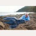 The Life Trilogy Boxset, David Attenborough
