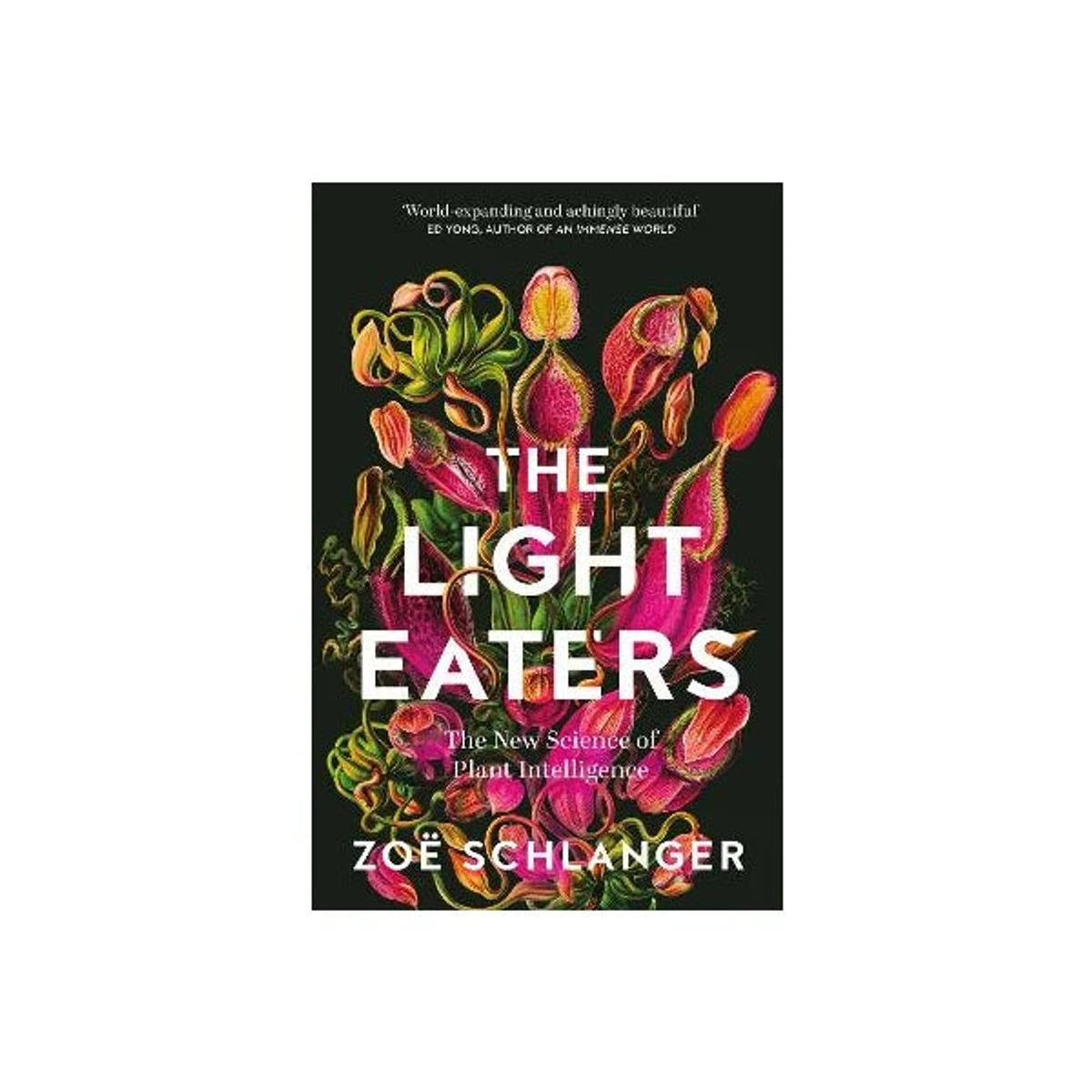 The Light Eaters: The New Science of Plant Intelligence