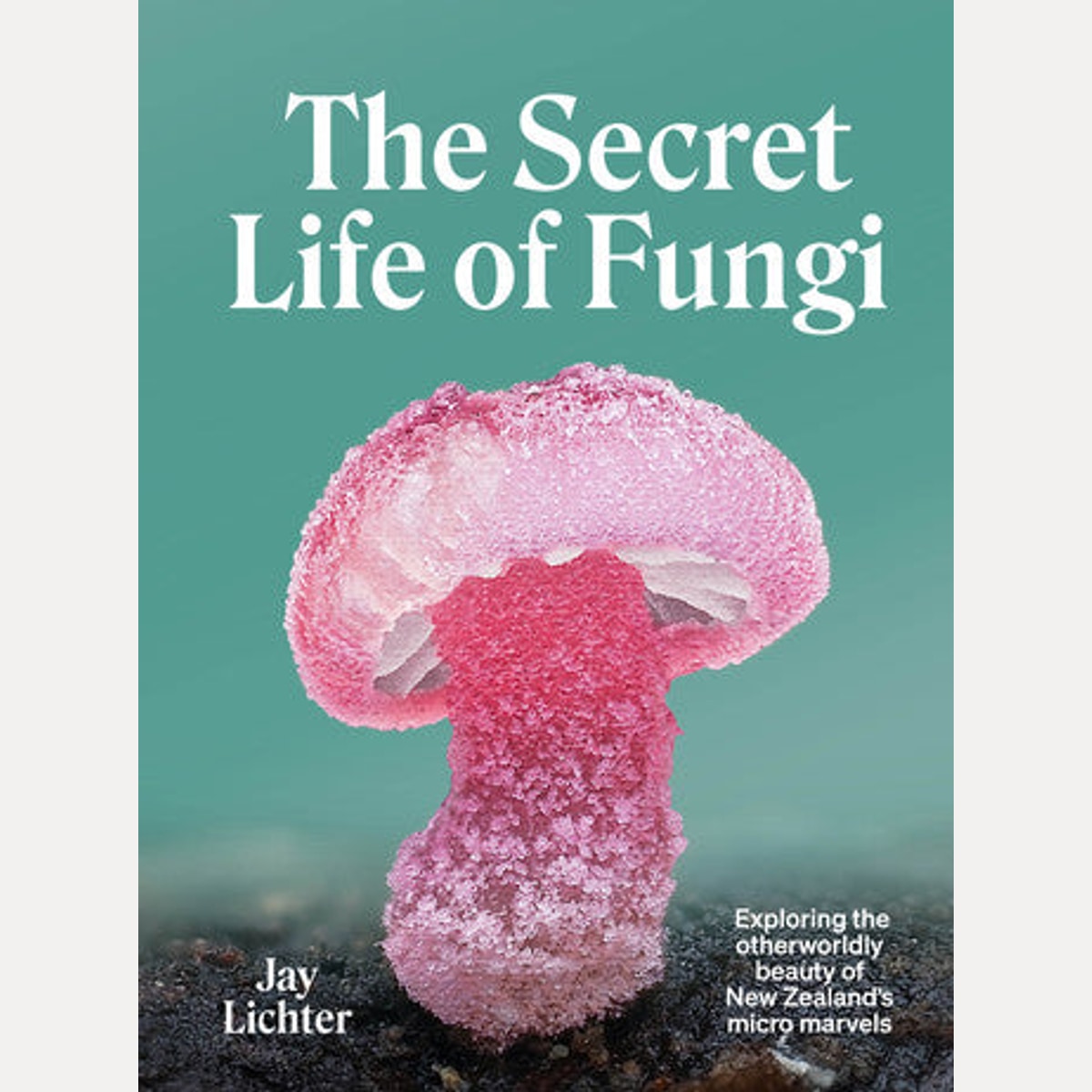 The Secret Life of Fungi