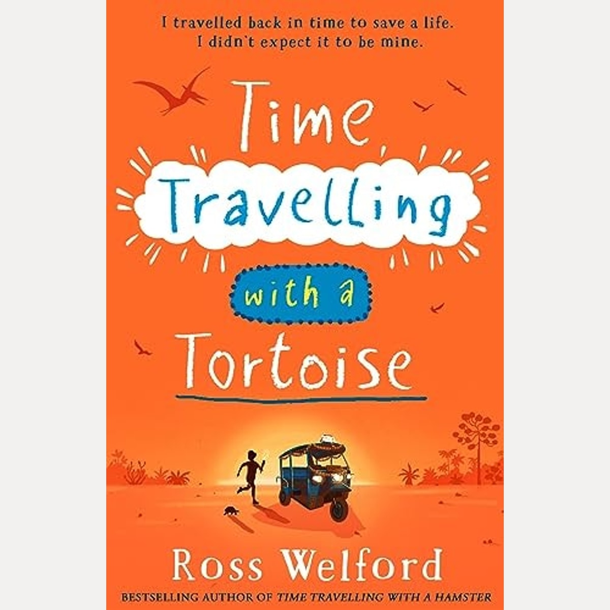 Time Travelling with a Tortoise