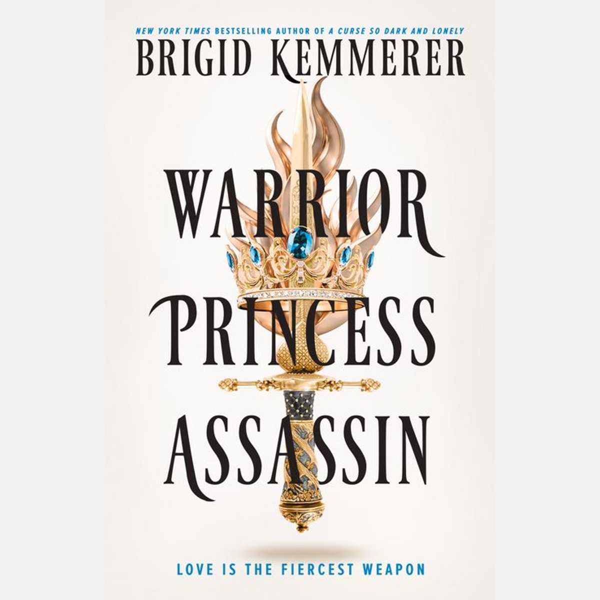 Warrior Princess Assassin by Brigid Kemmerer