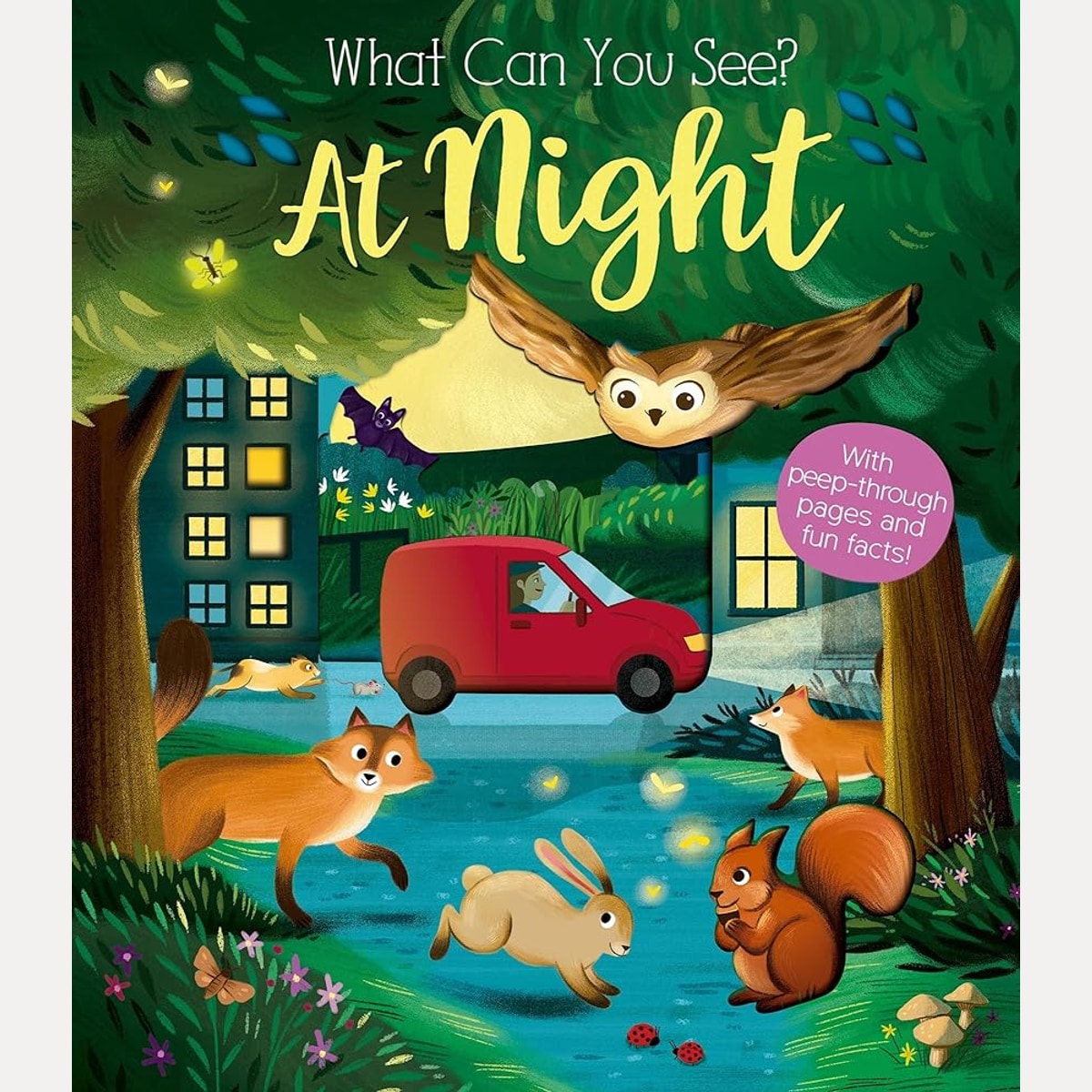 What Can You See At Night? cover image