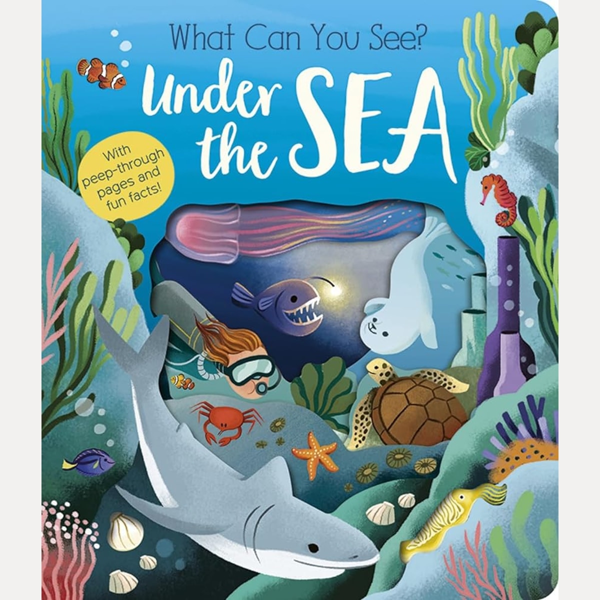 What Can You See? Under the Sea cover image