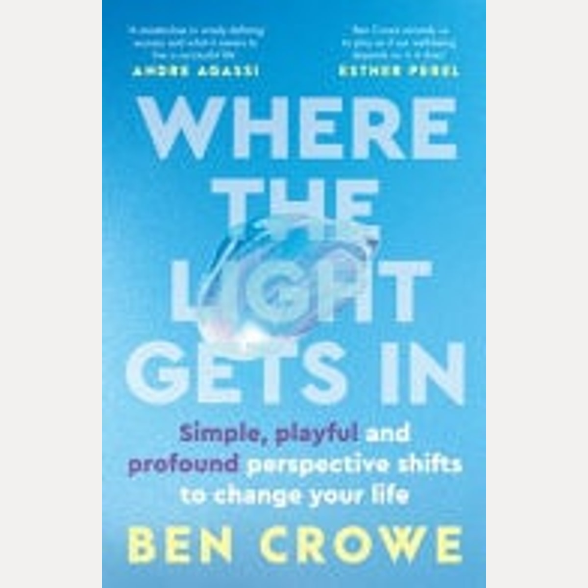 Where the Light Gets In - Simple, Playful and Profound Perspective Shifts to Change Your Life